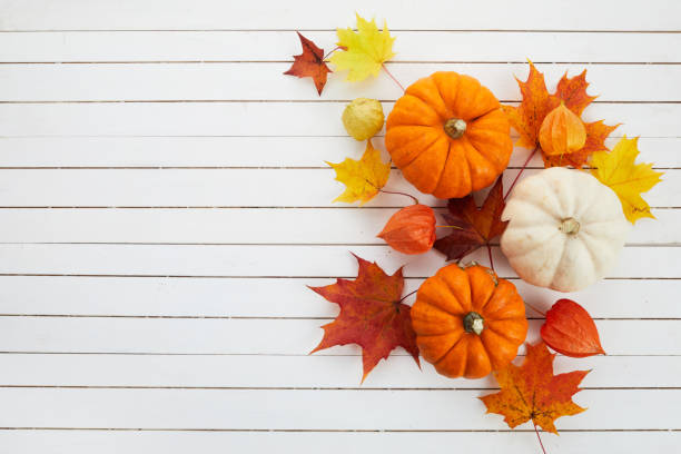 istock Autumn framework from pumpkins, berries and leaves on a travertine background. Concept of Thanksgiving day or Halloween. 1345255894