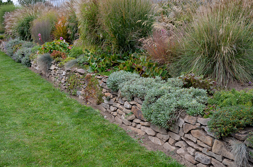 sandstone walls and stones in a flowerbed in a terraced terrain with stairs. flowering rocks and stairs with a gravel surface. herb garden with ornamental grasses in autumn