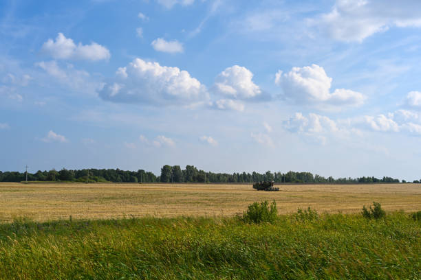 A picturesque scene featuring a grain silo standing tall amidst lush green corn fields on a sunny summer day. This photo captures the essence of rural agriculture and the beauty of the farming landscape