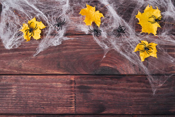 istock Halloween frame composition. Yellow dried leaves, black spiders on web on dark wooden background. Copy space. Flat lay. 1345258050