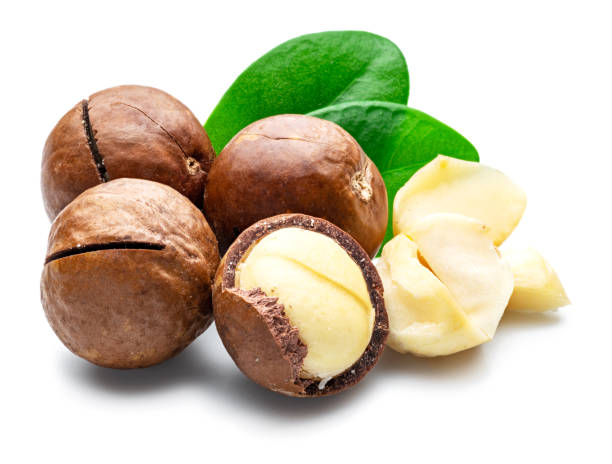 istock Macadamia nuts with peeled macadamia and leaves isolated on a white background. 1345260486