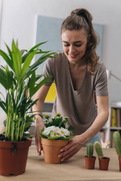 istock woman gardening at home 1345261680
