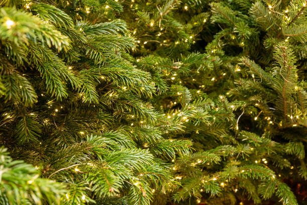 istock Festive christmas tree with garlad. New year decoration. 1345264082