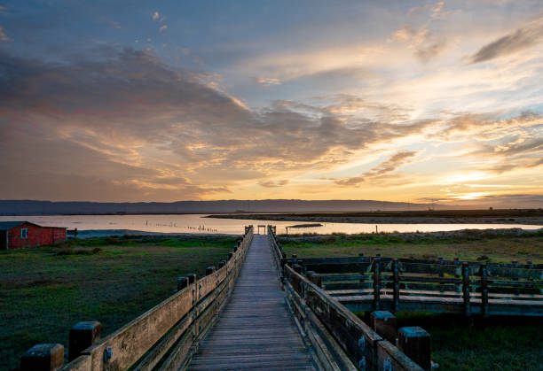 End of the day at a wild life refuge on San Francisco Bay, in the Silicon Valley