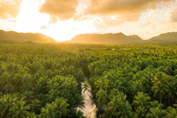 View over sunset over Amazon river with rainforest in Brazil