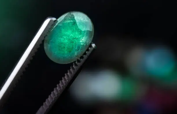 Emerald gemstone in the forceps with dark background.