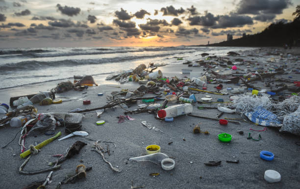 ambiente de playa sucio de basura plástica. - pollution fotografías e imágenes de stock