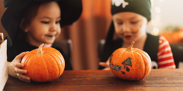 Children in witch and pirate costumes holding pumpkins in their hands.