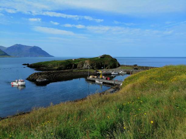 istock East Fjord Iceland 1345270492