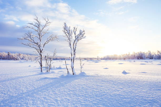 istock winter landscape at a sunny day 1345270700