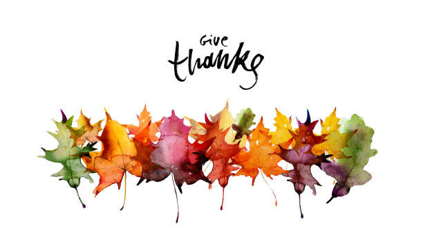 ilustraciones, imágenes clip art, dibujos animados e iconos de stock de feliz texto de acción de gracias con hojas de otoño en acuarela - día de acción de gracias