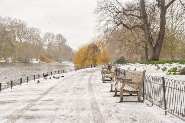 schnee im st james's park, london, großbritannien - snow park road cold stock-fotos und bilder