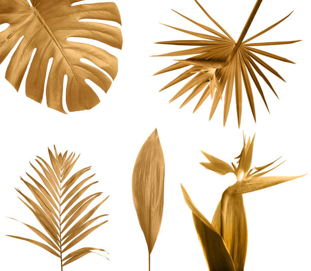 istock Set of different golden leaves on white background 1345276806