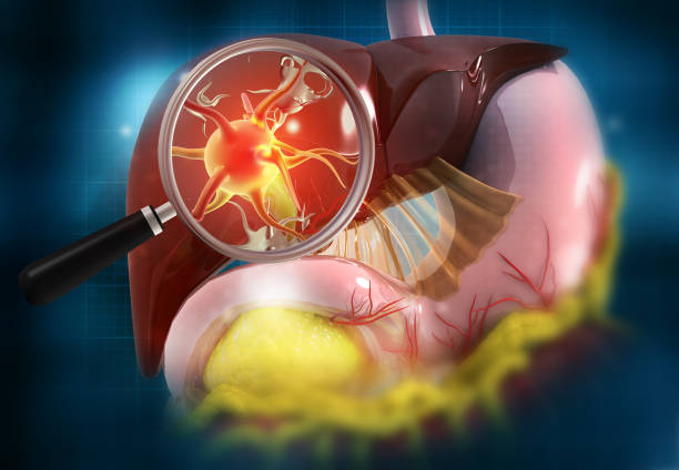 istock Human liver and magnifying glass with viruses 1345278030
