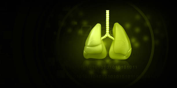диаграмма легких человека - human lung healthy lifestyle healthcare and medicine green стоковые фото и изображения