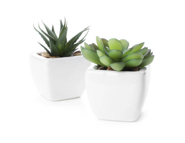 istock Beautiful artificial plants in flower pots isolated on white 1345278694