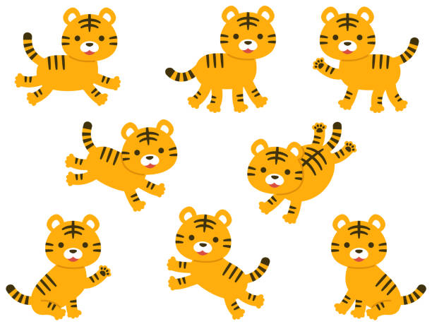 kleines tiger cartoon illustrationsset - babytiger stock-grafiken, -clipart, -cartoons und -symbole