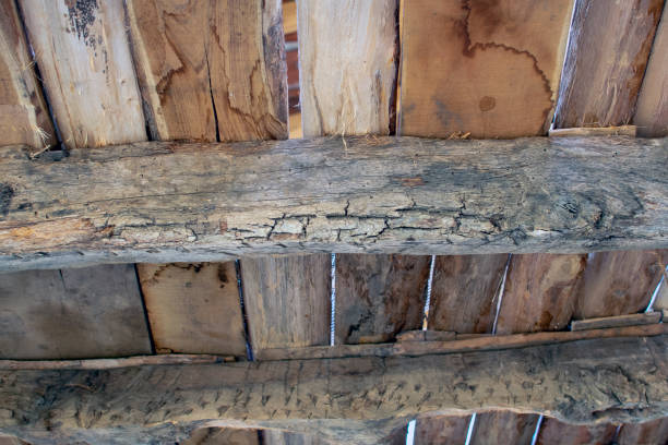 istock Ceiling made of old wooden beams as a background. 1345282256
