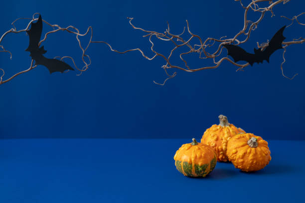 istock Three orange decorative pumpkins, two black paper bats and scary bare tree branches on deep blue background. Halloween holiday concept. Autumn festive sale mockup. Dark atmospheric photo. Front view 1345282990
