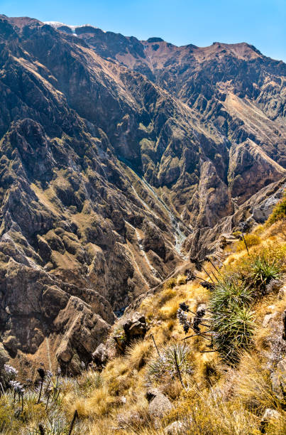 istock Scenery of the Colca Canyon in Peru 1345284367