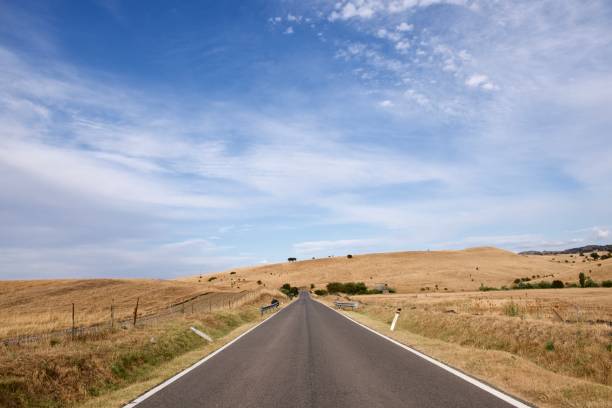 istock Country road in a sunny day 1345284652