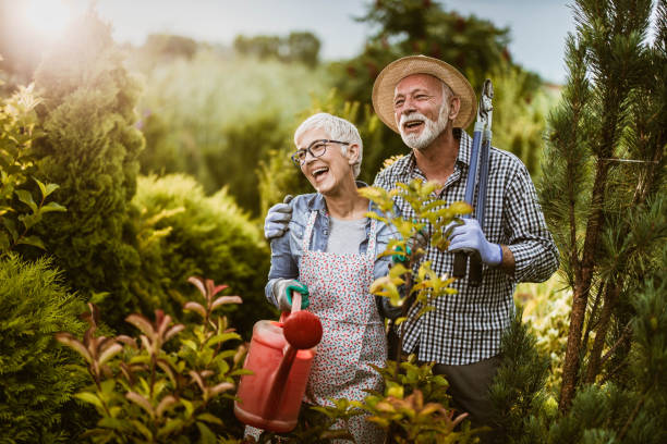 istock Happy senior couple enjoying while gardening in the back yard. 1345284796