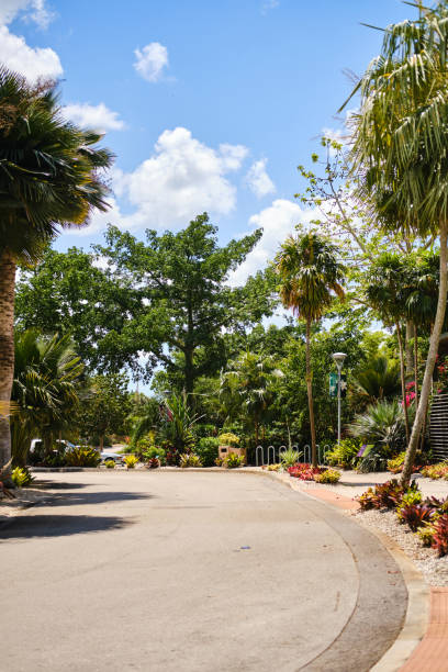 istock Palm trees and road Tropical, exotic vacation. Summer travel concept 1345289049