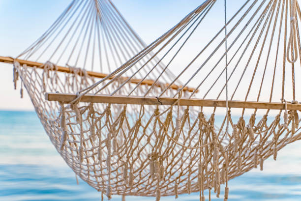 istock A hammock hangs on large trees on an empty beautiful beach. The hammock is tied with ropes to the tree, Black sea, Bulgaria 1345290477