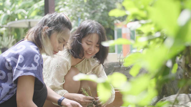 istock Two young women replanting plants in backyard. 1345291236