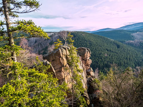 Vista sobre el paisaje de la reserva natural de Harz photo