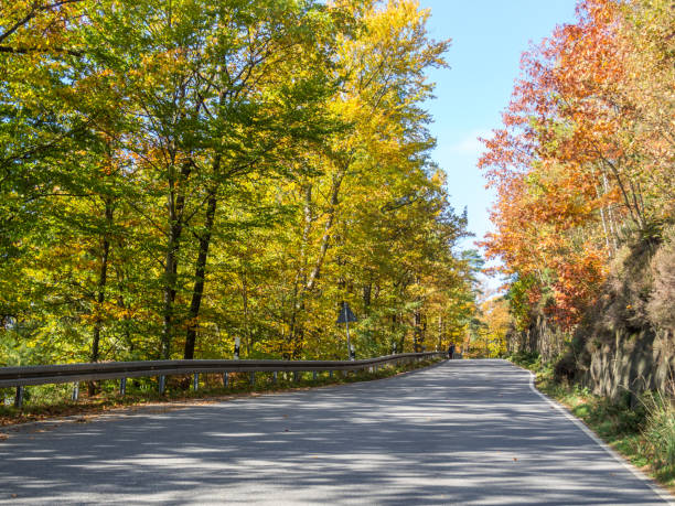 istock Road in an autumn landscape 1345291461