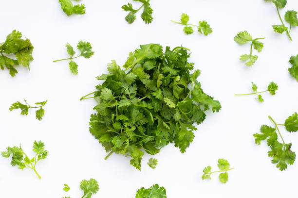 istock Fresh coriander leaves on white background. 1345291601