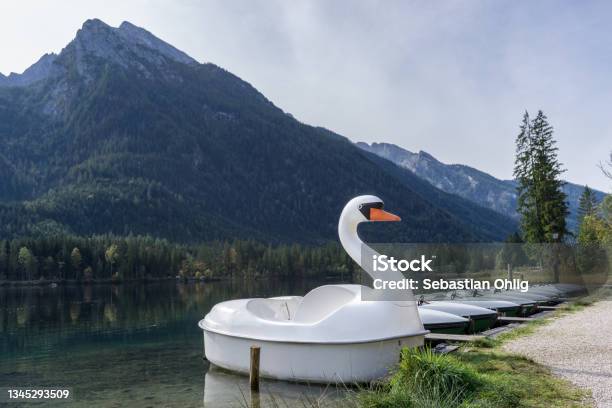 Many Rental Boats At A Bridge On Lake In The Mountains And A Swan Boat Stock Photo - Download Image Now