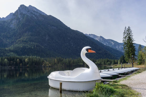 много проката лодок у моста на озере в горах и лебединая лодка - pedal boat стоковые фото и изображения