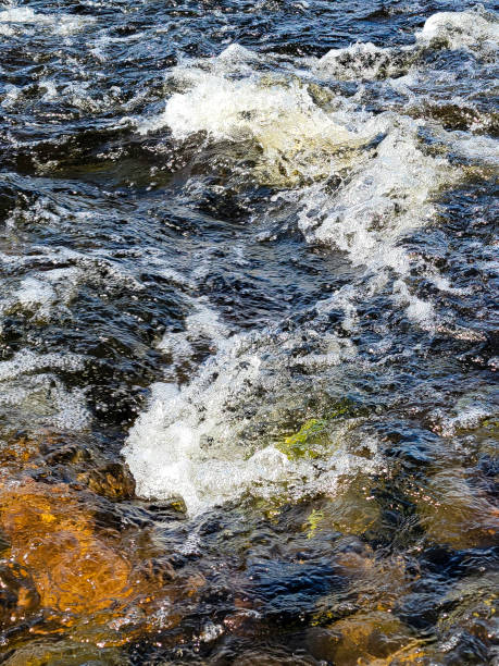 istock Fast moving water flowing over rocks in early morning light. 1345294312