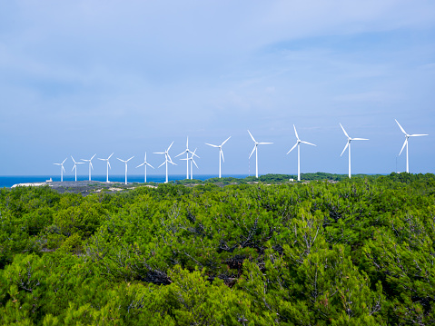 Wind power station in a forest landscape