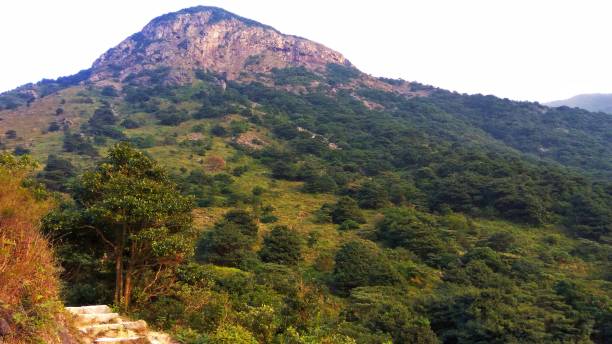 istock Beautiful green hill view with lush trees 1345295692