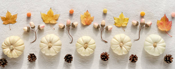 istock Panoramic decorative Autumn border from natural decor - white pumpkins, beige acorns, dry Fall leaves and pine cones. Flat lay, top view on off white cotton textile 1345297026