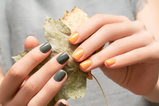 Female hands with green, yellow autumn nail design. Female hands hold autumn leaves. Woman hands on gray fabric shirt Female hands with green and yellow autumn nail design. Female hands hold dry yellow autumn leaves. Woman hands on gray fabric shirt background fall nail art stock pictures, royalty-free photos & images