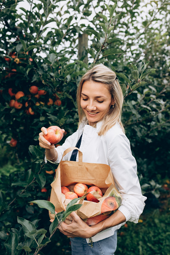Beautiful woman collects apples in a paper bag. High quality photo