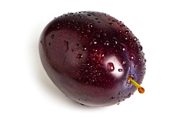istock Plum with drops isolated on white background. Plum fruit 1345300383