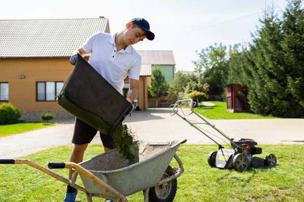 istock Man unloads mowed grass from a lawn's mower catcher into a wheelbarrow 1345300510