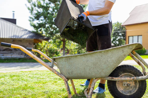 istock Man unloads mowed grass from a lawn's mower catcher into a wheelbarrow 1345300515