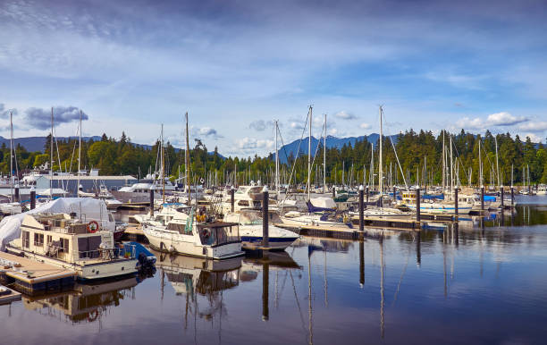 marina de barcos em vancouver. - vancouver harbor vancouver harbor marina - fotografias e filmes do acervo