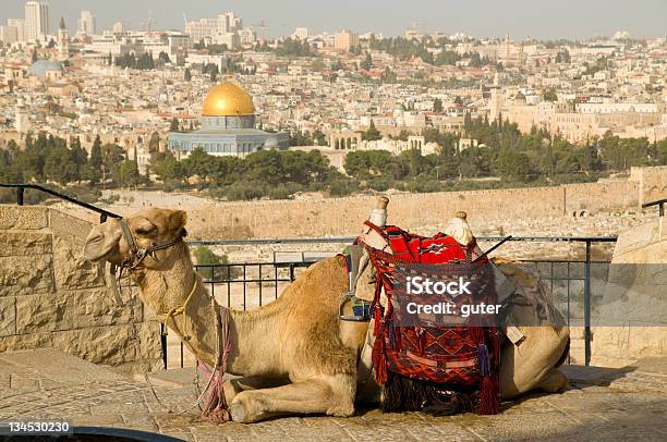 예루살렘 올드 시티 뷰 낙타 고대의에 대한 스톡 사진 및 기타 이미지 - 고대의, 과거, 구도시