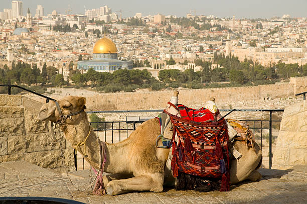 istock View of Jerusalem old city with a Camel 134530230