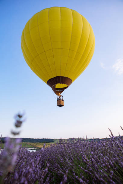 istock air balloon with basket above lavender field 1345303554