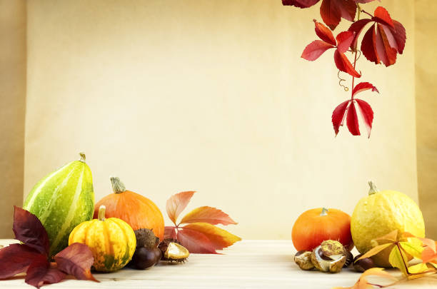 decorative pumpkins and chestnuts on a wooden board with a hanging sprig of wild grapes on a brown background. - sweet food chestnut yellow brown imagens e fotografias de stock