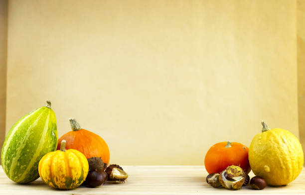 decorative pumpkins with chestnuts on a wooden board and a sandy brown background. - sweet food chestnut yellow brown imagens e fotografias de stock