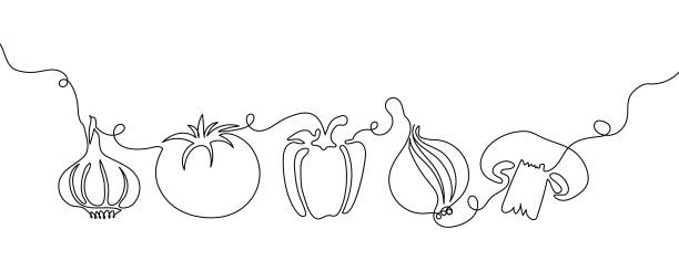 illustrations, cliparts, dessins animés et icônes de légumes un ensemble de lignes. dessin au trait continu d’ail, tomate, poivron, oignon, champignon. - un seul objet illustrations